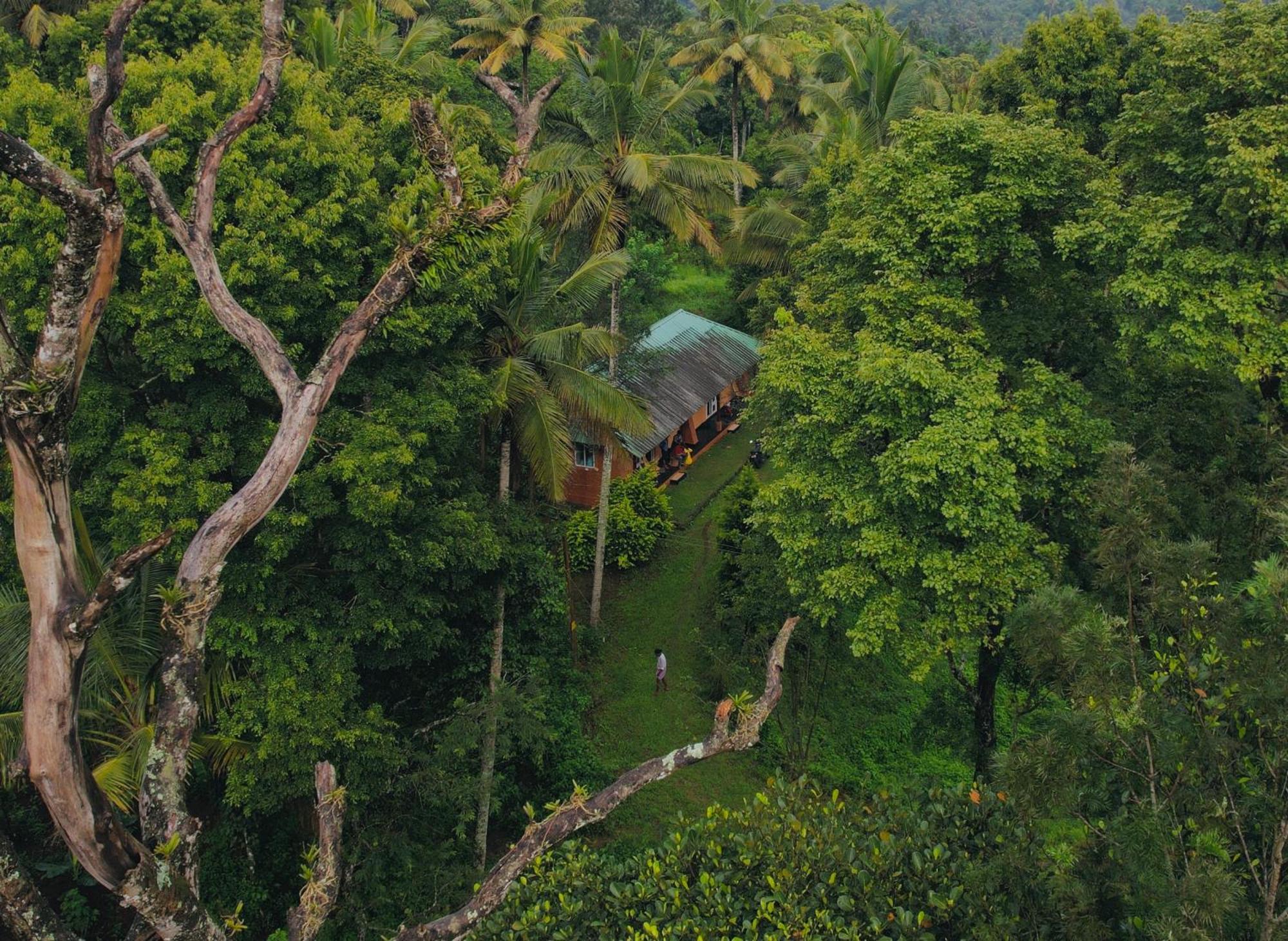 Ramakkalmedu Punarjani Ayurvedic Resorts מראה חיצוני תמונה