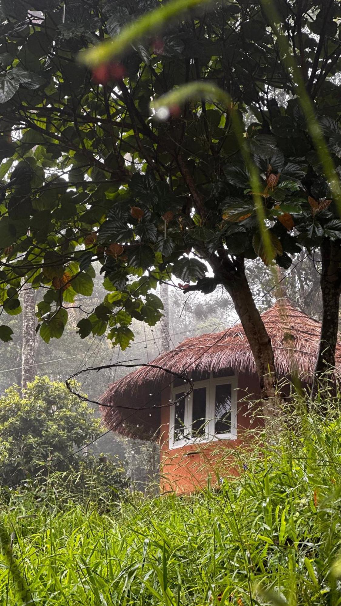 Ramakkalmedu Punarjani Ayurvedic Resorts מראה חיצוני תמונה
