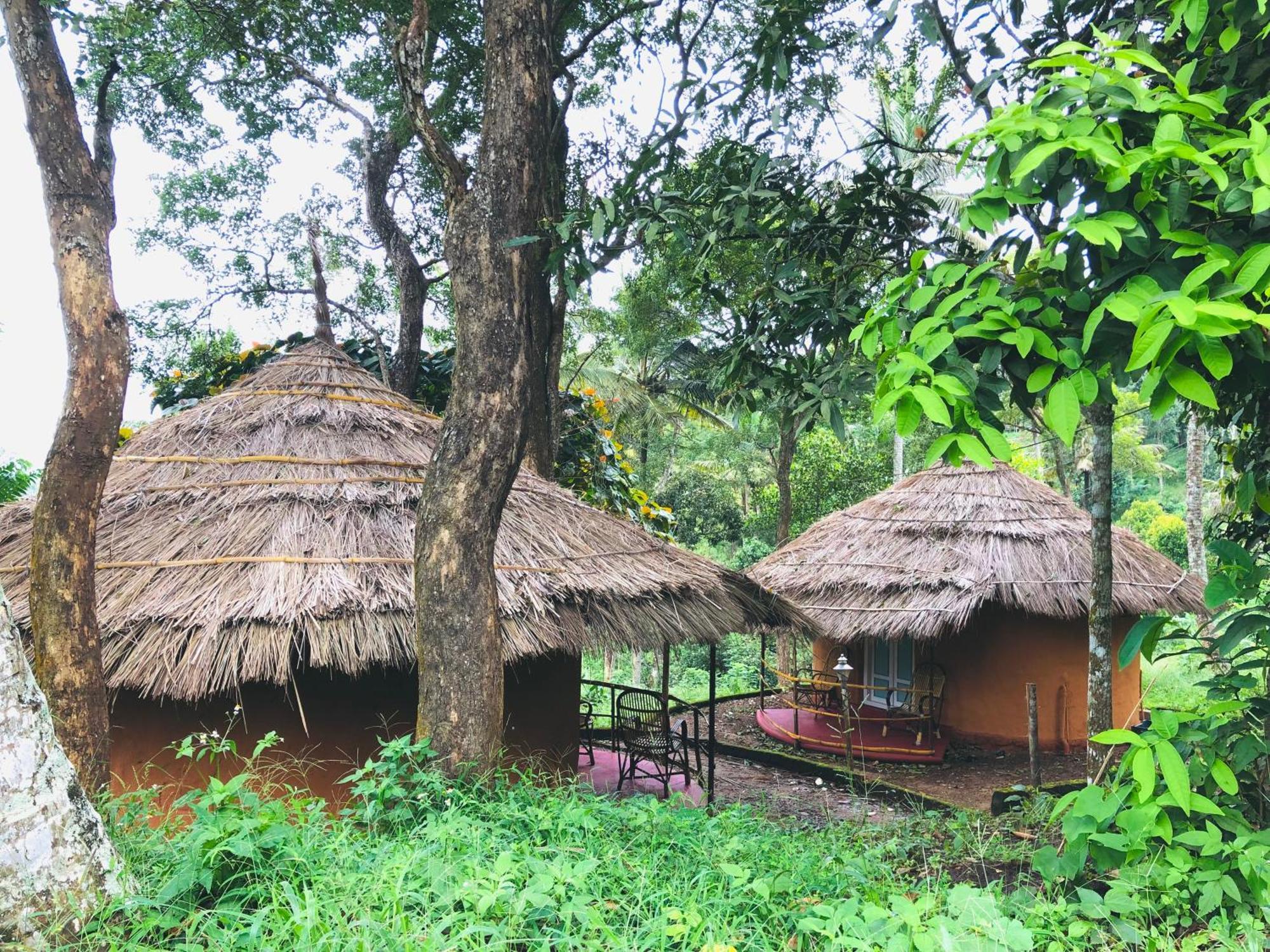 Ramakkalmedu Punarjani Ayurvedic Resorts מראה חיצוני תמונה