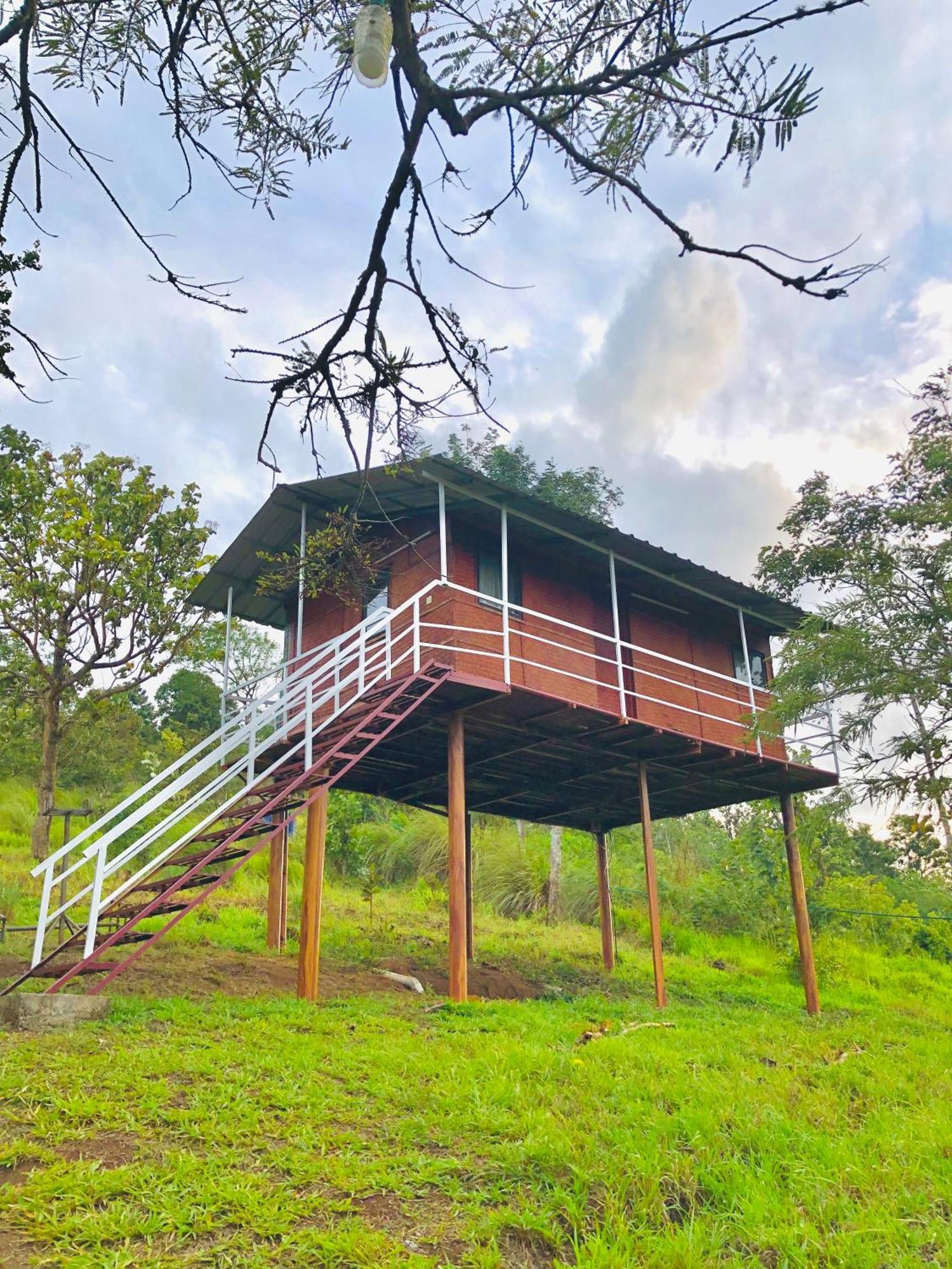 Ramakkalmedu Punarjani Ayurvedic Resorts מראה חיצוני תמונה